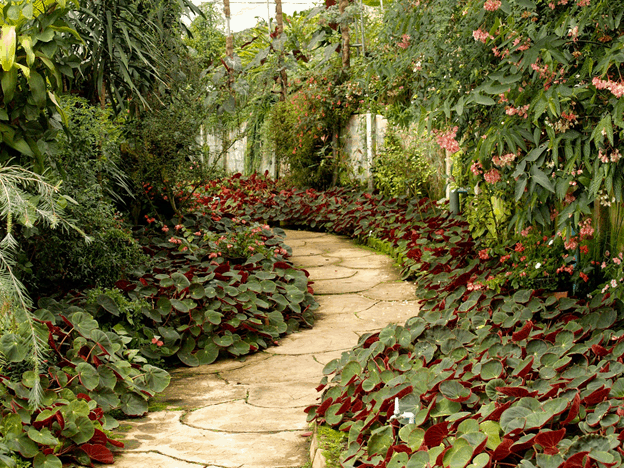 Qualities You Need to Look For in a Landscaping Company