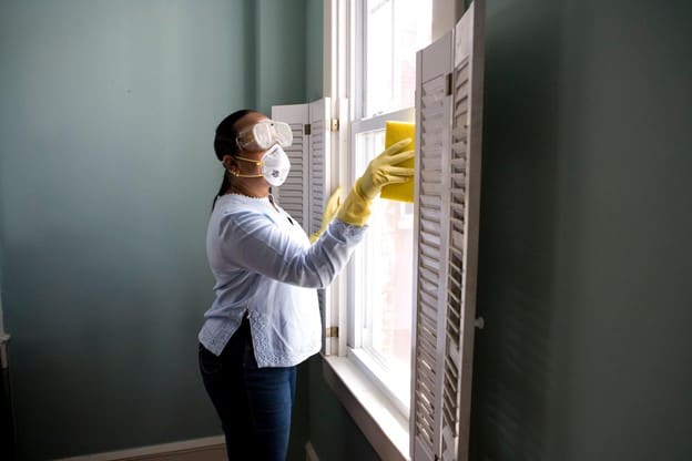 Effective Tricks That Will Help You Get Rid Of All Pests In Your House