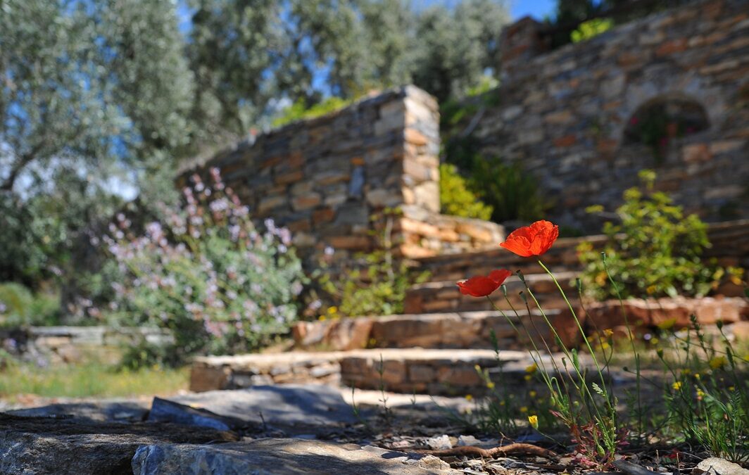 Creating Stunning Outdoor Spaces: How Landscape Materials Can Transform Your Property