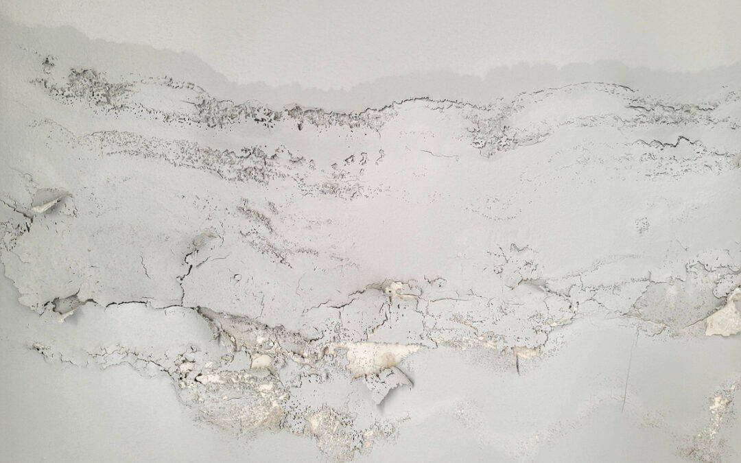 Debunking Common Attic Rain Myths & Misconceptions: What Roofing Contractors Want You to Know