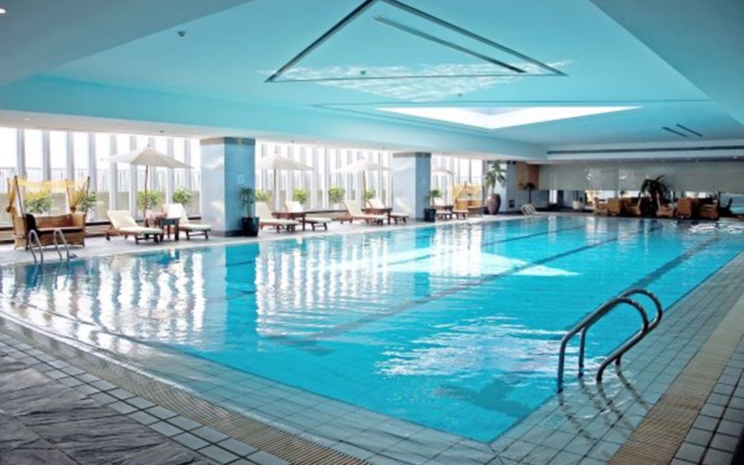 The Essential Pool Equipment Guide: Must-Have Supplies for a Clean Pool