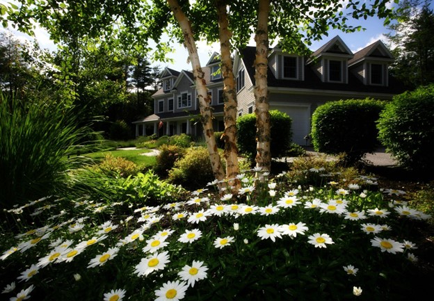 How Professional Landscaping Can Transform Your Yard