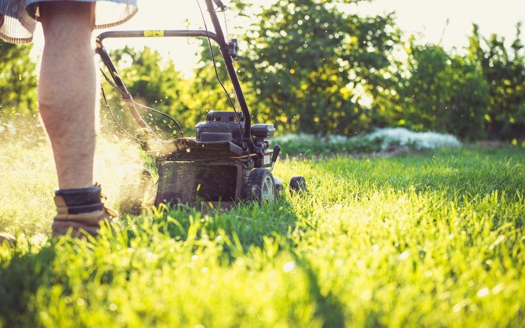 Elevate Your Outdoor Space: The Essential Guide to Lawn Maintenance