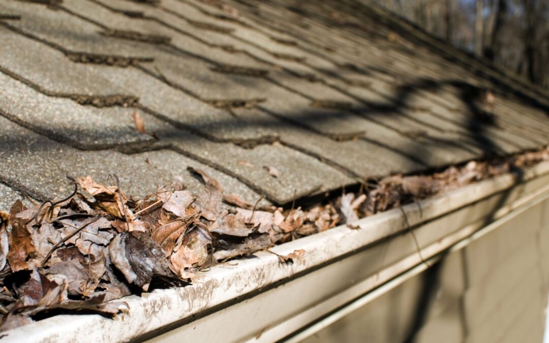 gutters in need of cleaning and upkeep