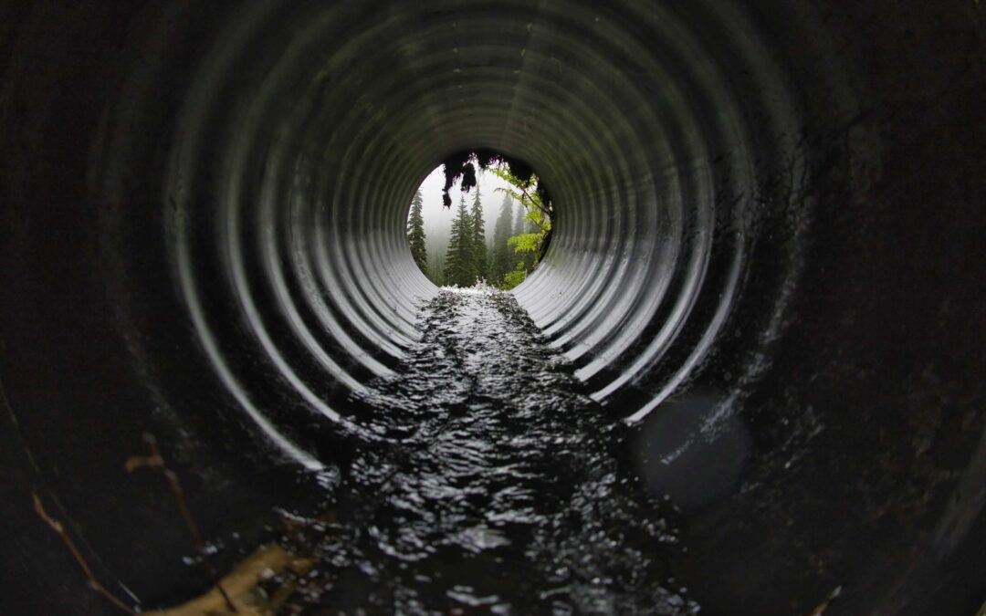 The Hidden Sewer Issues Scottsdale Agents Help You Avoid