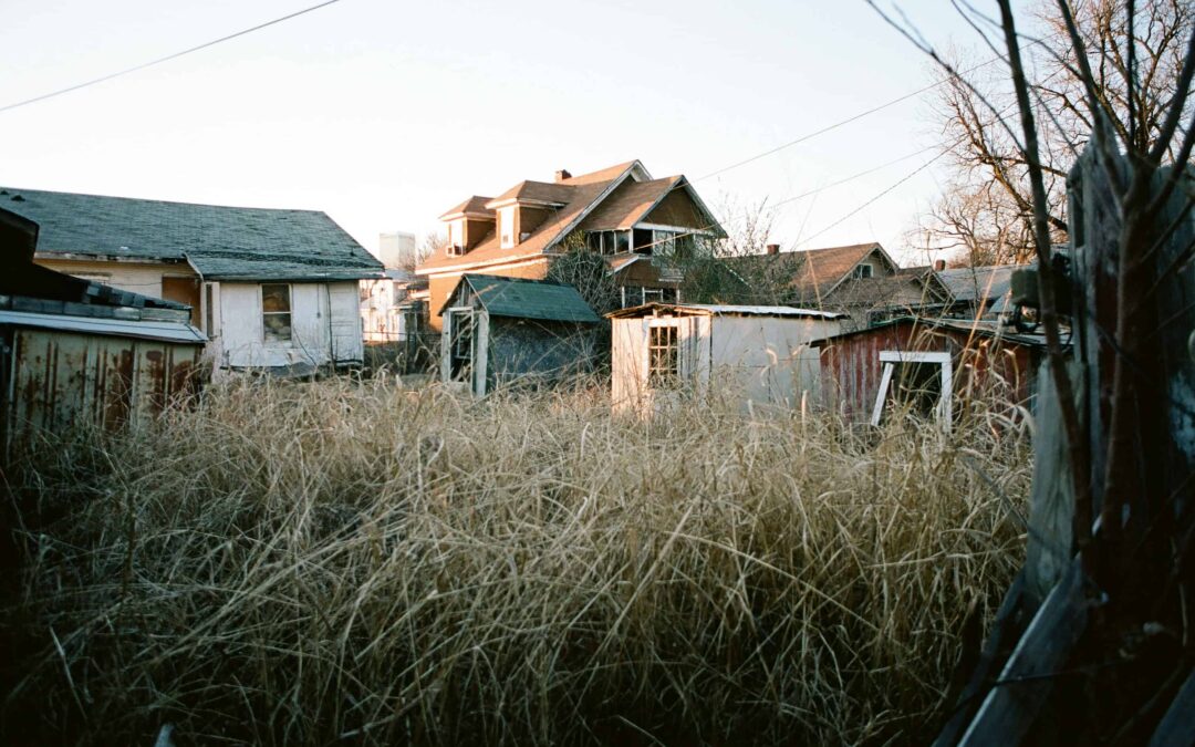 The Fastest Fixes for Messy Yards