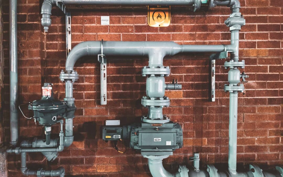 Discover Skilled Plumbers for Any Home Project