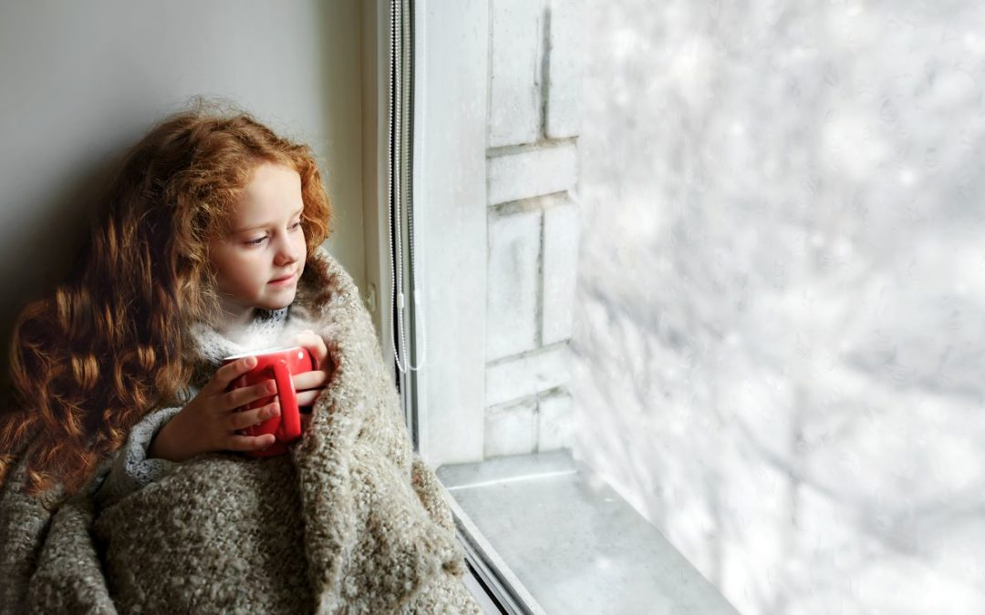 Which Furnaces Work Best in Utah’s Climate