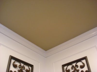 PaintYourCeiling