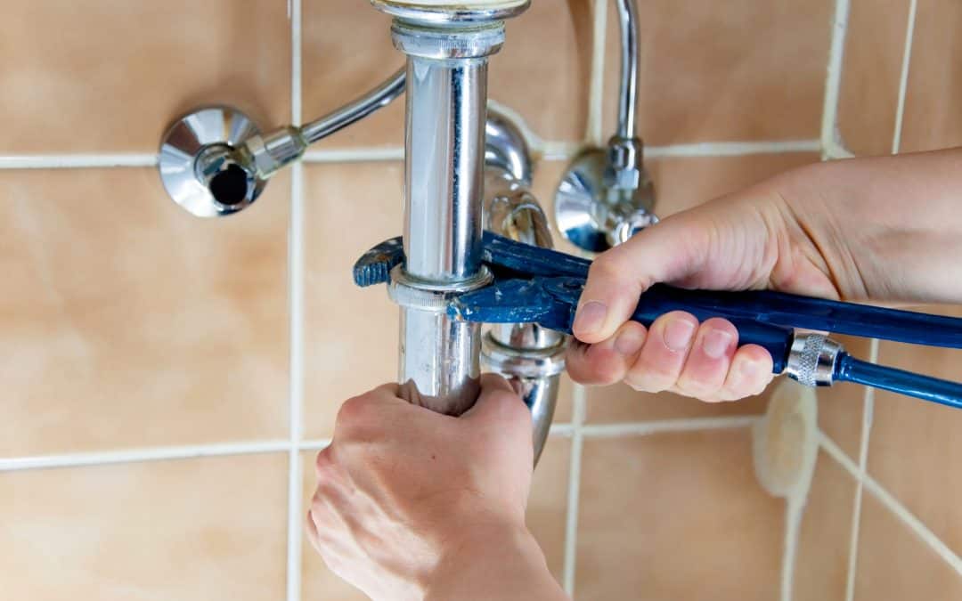 Plumbing and the Greening of Your Home