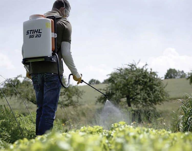 How a Backpack Sprayer Helps to Get Rid of Weeds