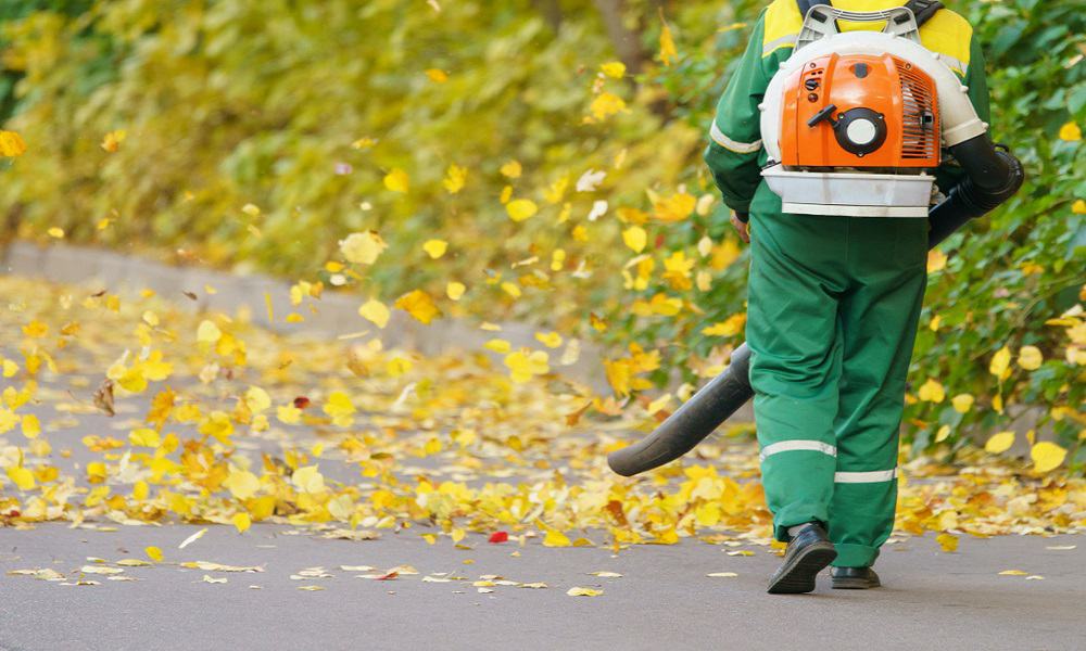 All You Need to Know About the Best Leaf Vacuum