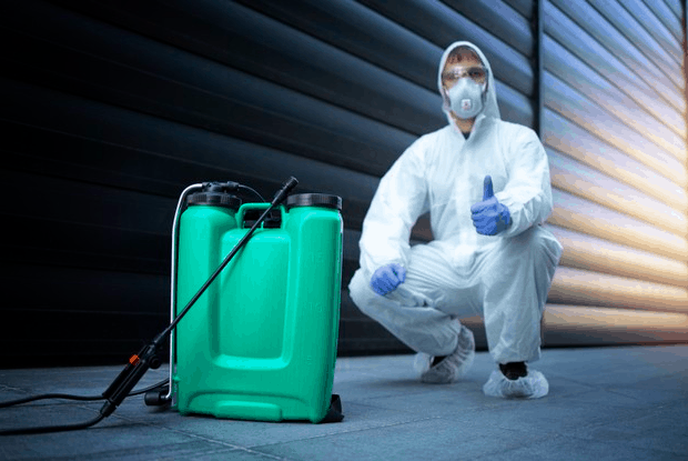 Best Tips To Control Pests In and Around Your Home