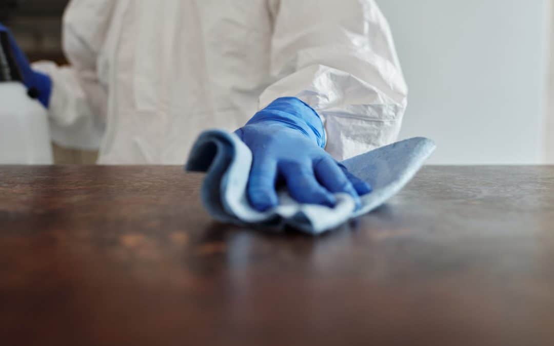 Cleaning Services in Melbourne: A Price Guide