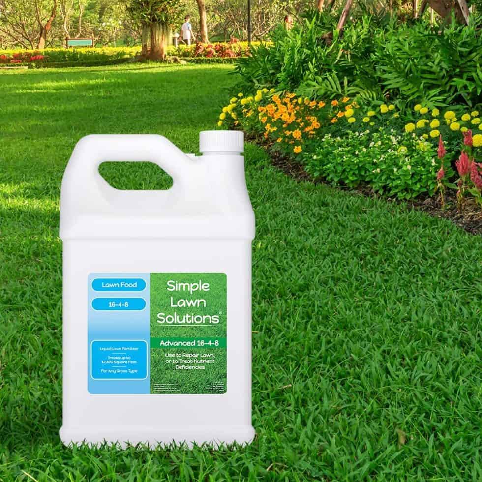 How Often Should You Fertilize Your Lawn Find The Home Pros