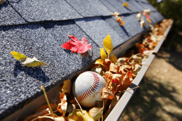 Reasons Why You Should Clean Your Gutters?
