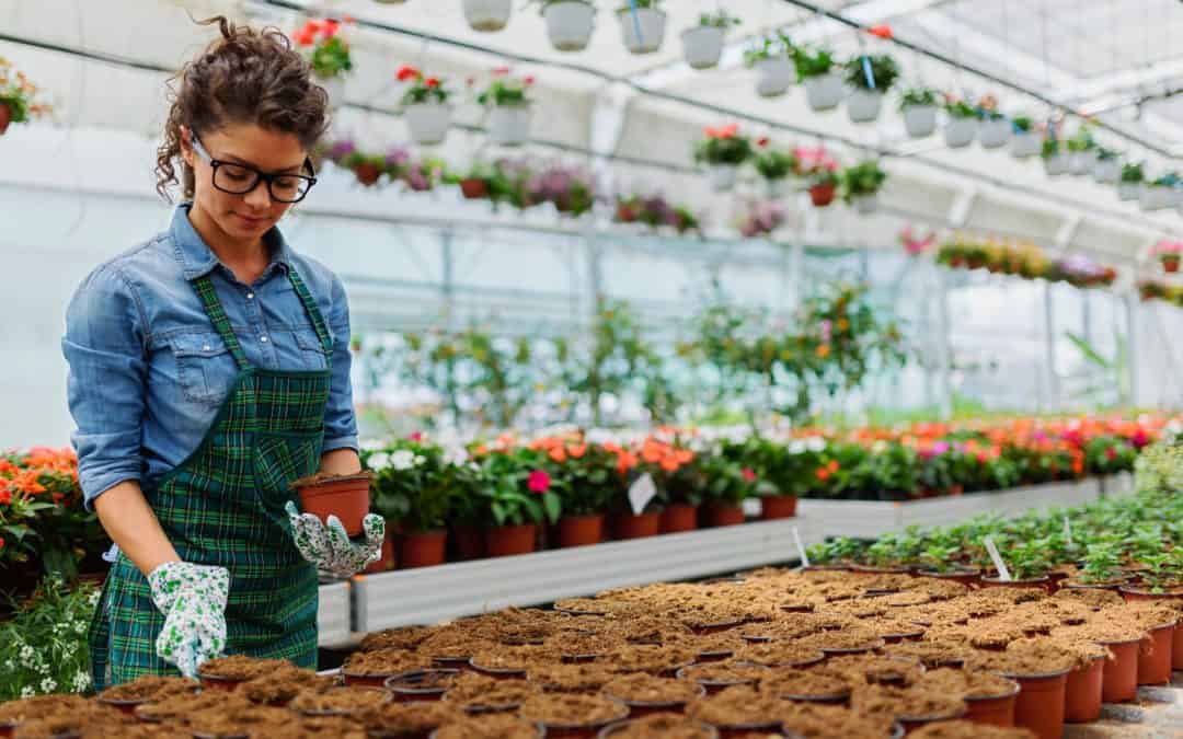 5 Things To Grow In A Greenhouse For Beginners