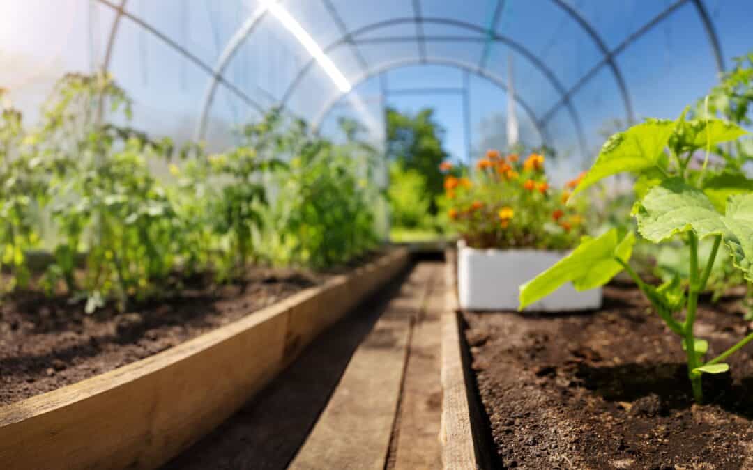 Greenhouse Gardening: An Essential Guide