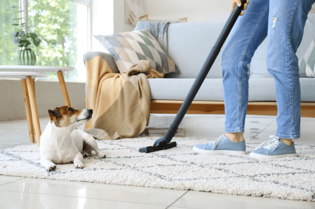 Should You Sanitize and Disinfect Your Carpet?