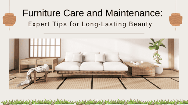 Furniture Care and Maintenance: Expert Tips for Long-Lasting Beauty
