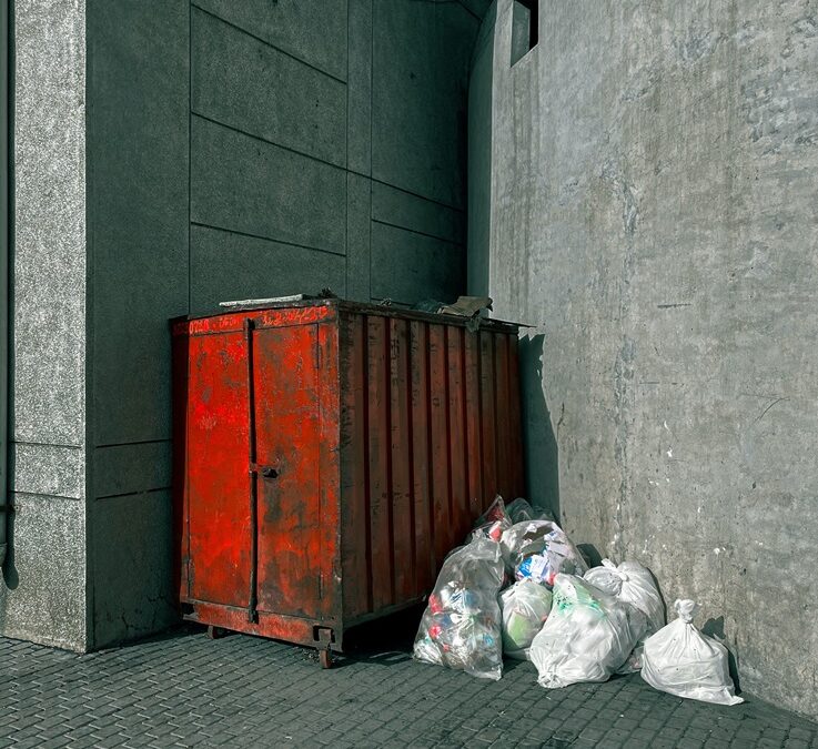 Tips To Save Your Business From The Negative Experience Of Skip Bin Hire: