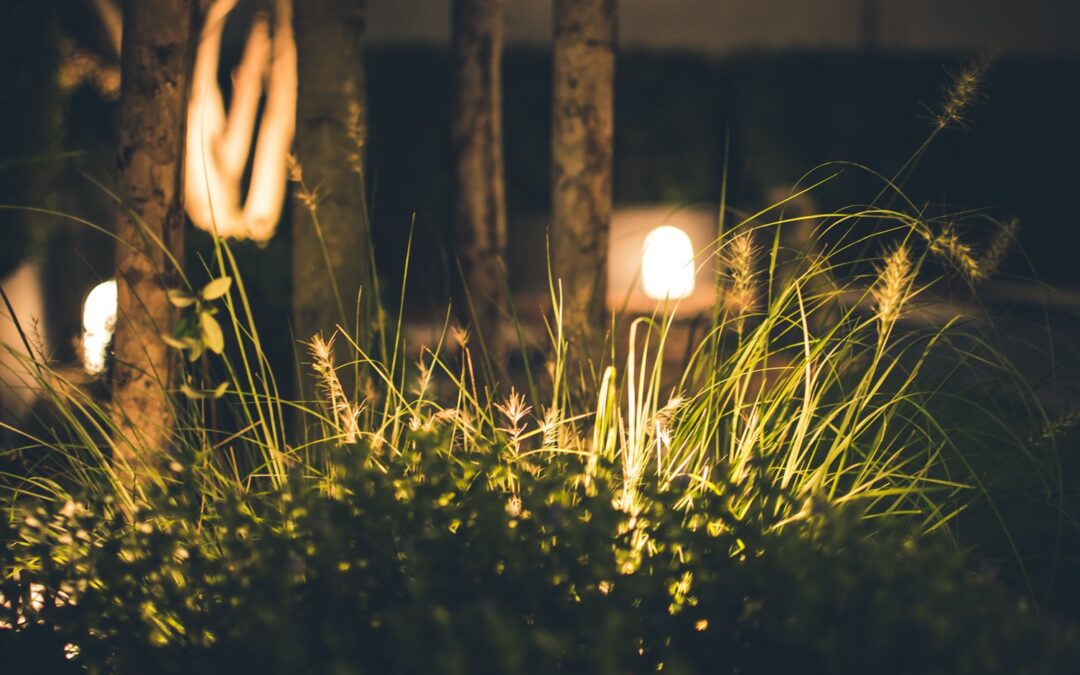 Why Are garden lights Australia Becoming So Popular