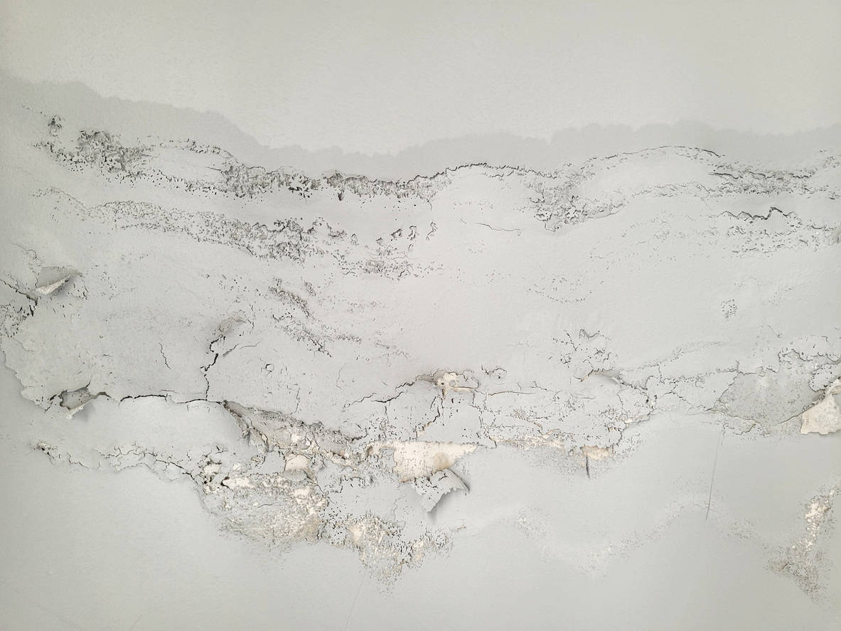 Leakage of roof water