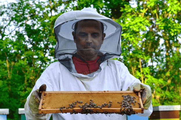 Bee the Change: How Home Beekeeping Promotes Sustainable Living