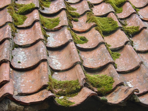 Unlock the Power of Preventative Maintenance: 6 Tips to Keep Your Roof Pristine