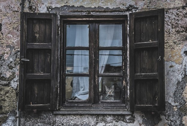 Why You Shouldn’t Delay In Replacing Your Windows