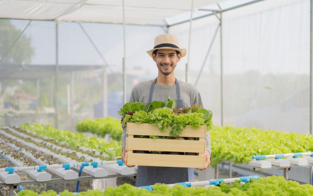 man in greenhouse