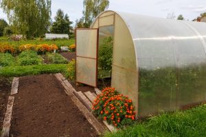 A frame greenhouse