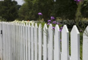 white fence with purple flower