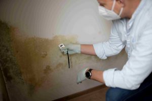 man in mask inspecting mold