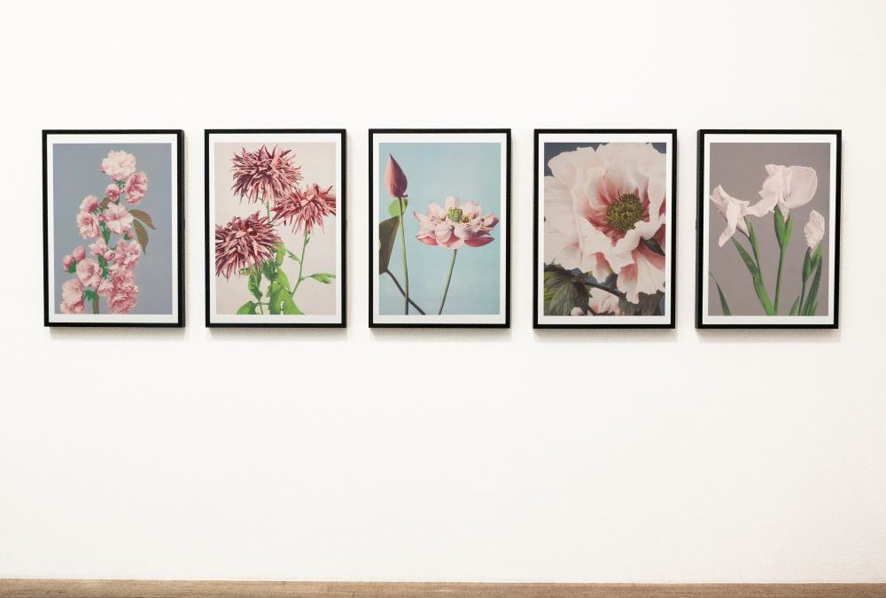 a wall with pictures of flowers