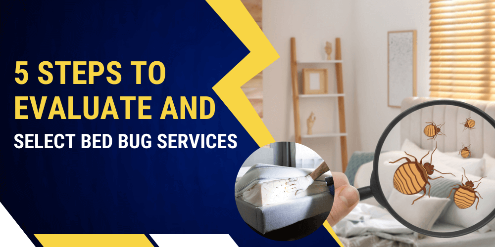 5 Steps to Evaluate and Select Bed Bug Services