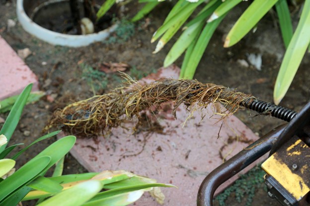 clogged drain in yard