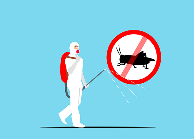 Reasons Regular Pest Control with a Qualified Exterminator is Vital