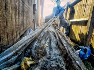 man clearing out garbage