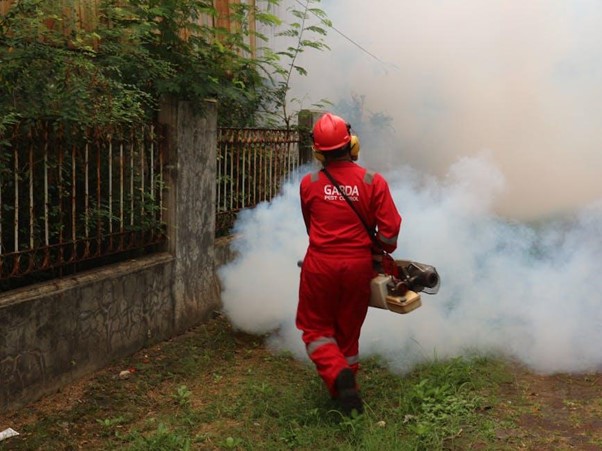 exterminator spraying for pests