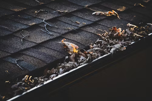 5 Ways to Protect Your Gutters From Leaves