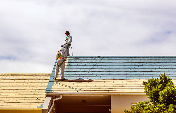 How Roof Painting Can Improve Your Home’s Energy Efficiency