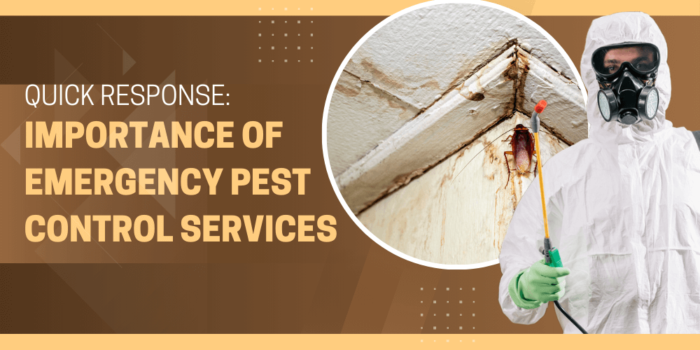 Quick Response: Importance of Emergency Pest Control Services