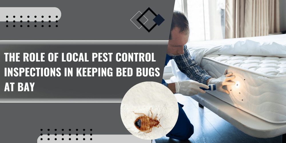 The Role of Local Pest Control Inspections in Keeping Bed Bugs at Bay