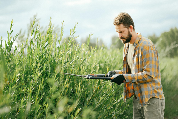 man with hedge trimmers