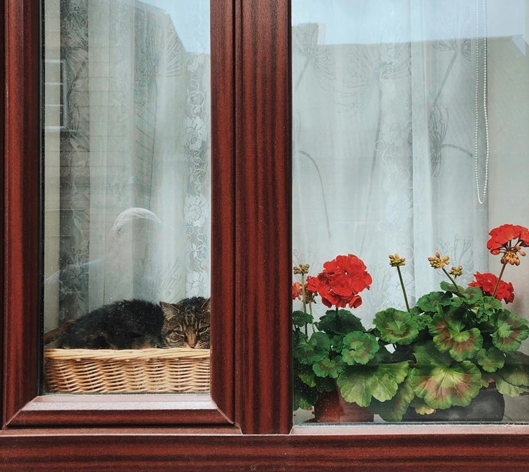 5 Benefits of Installing uPVC Windows