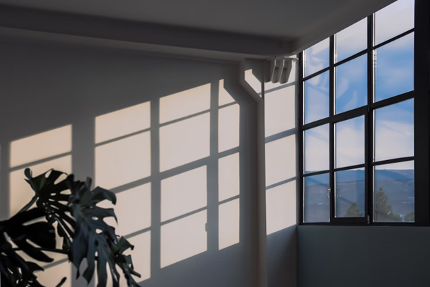 Why You Should Consider Replacing Your Window Treatments       