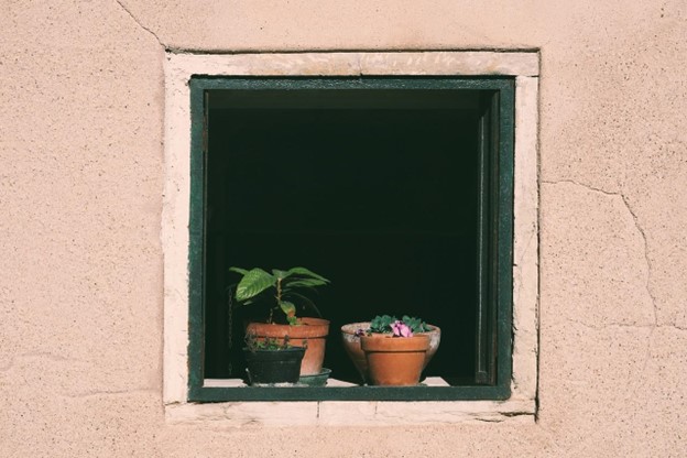 small open window with plants