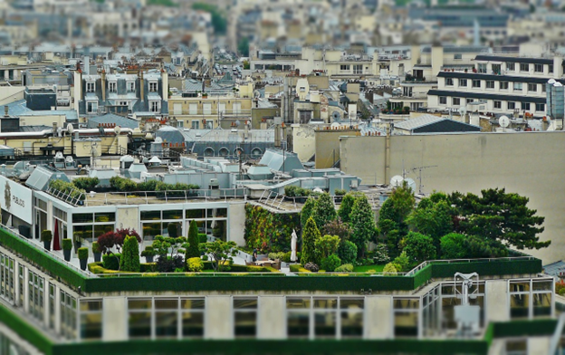 greenspace in the city