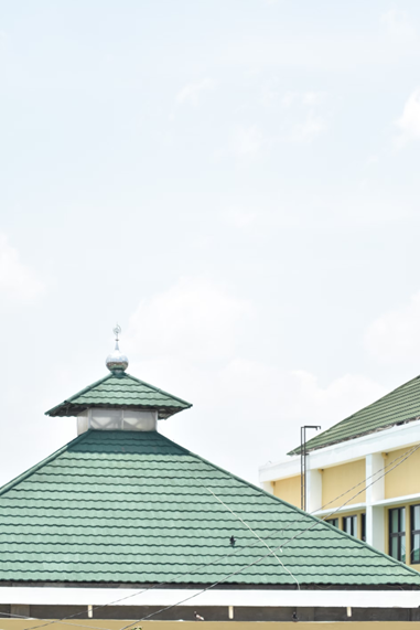 Green metal roof